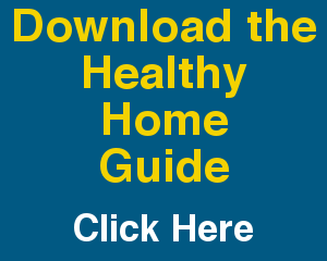 Healthy Home Guide logo