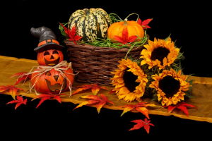 Halloween and Harvest Decoration